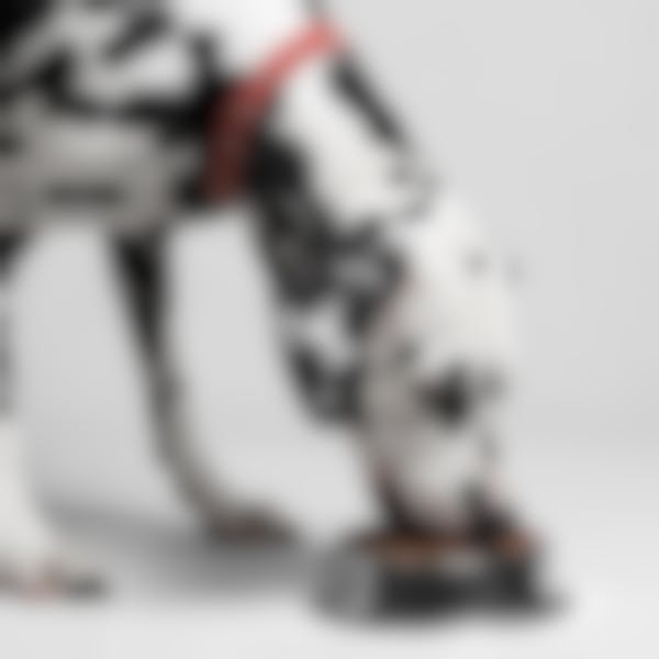 Royal Canin Fibre Response - Hondenvoer - 7,5kg 10 Royal Canin Fibre Response - Hondenvoer - 7,5kg -Hondenbenodigdheden Korting