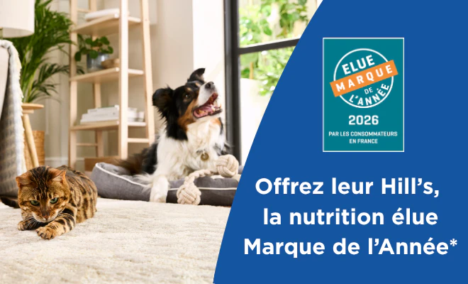 Bannière avec une photo d'un homme serrant un chien dans ses bras. Texte : Offrez leur Hill's, la nutrition élue Marque de l'Année. Logo Elue marque de l'année 2026 par les consommateurs en France.
