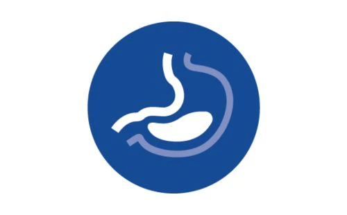 picto digestion illustration d'un estomac