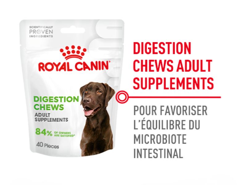 Digestion Chews pour favoriser l'équilibre du microbiote intestinal
