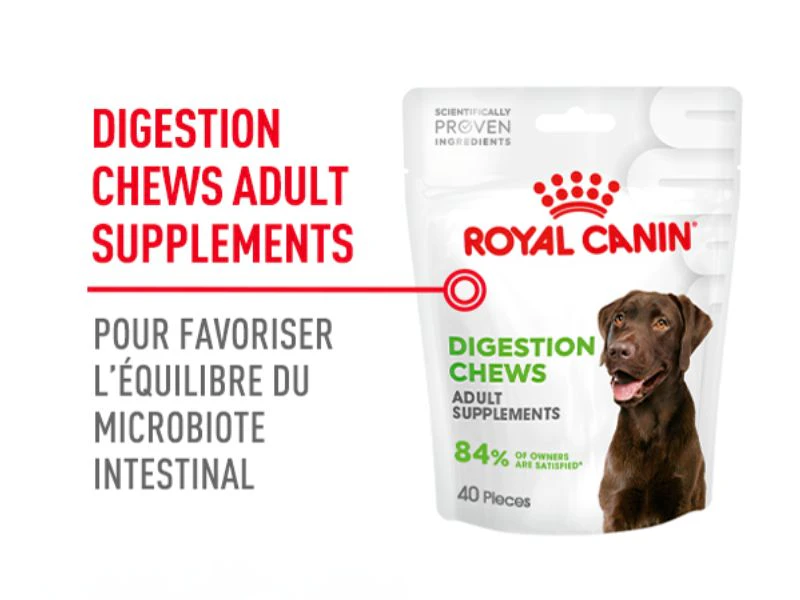 Digestion Chews pour favoriser l'équilibre du microbiote intestinal