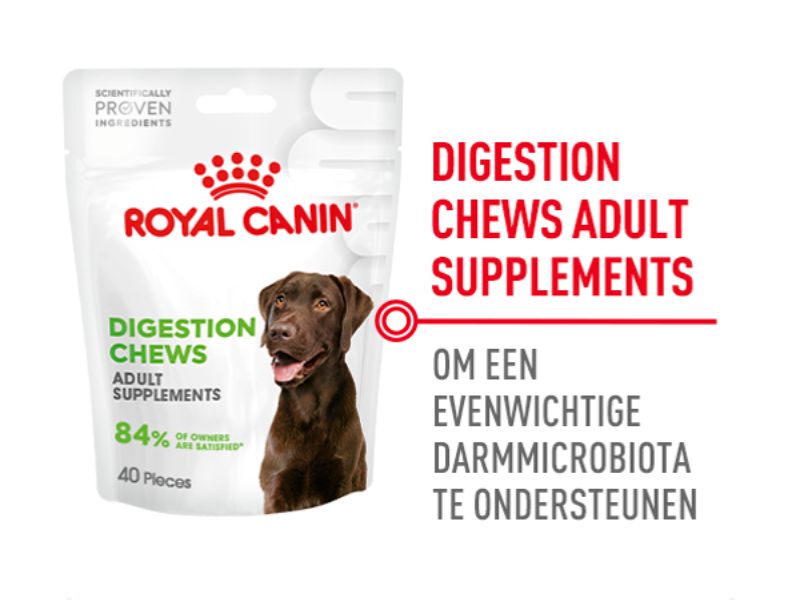Digestion Chews om een evenwichtig darmmicrobioom te ondersteunen