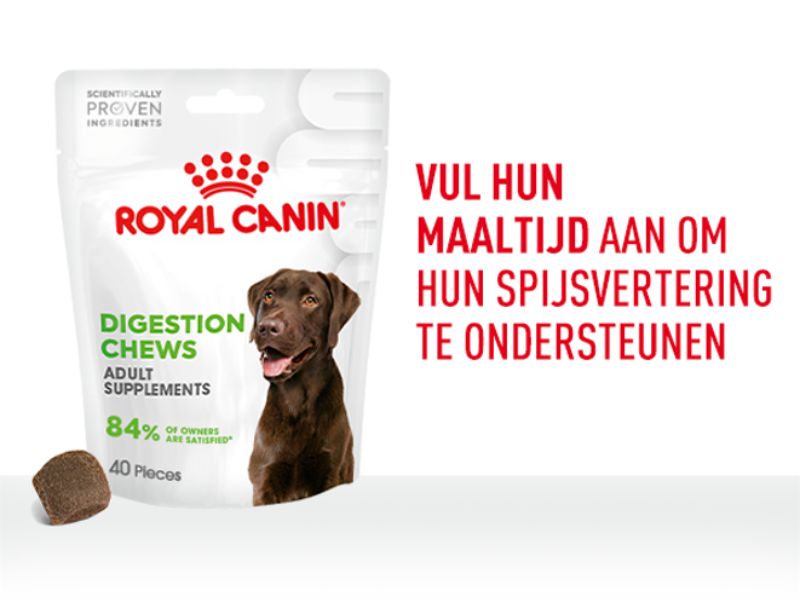De verpakking van Royal Canin Digestion Chews met daarnaast de titel Vul hun maaltijd aan om hun spijsvertering te ondersteunen.