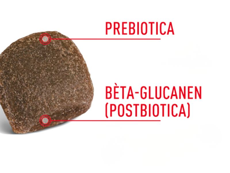 Deze supplementen bevatten prebiotica en b&egrave;ta-glucanen (postbiotica)
