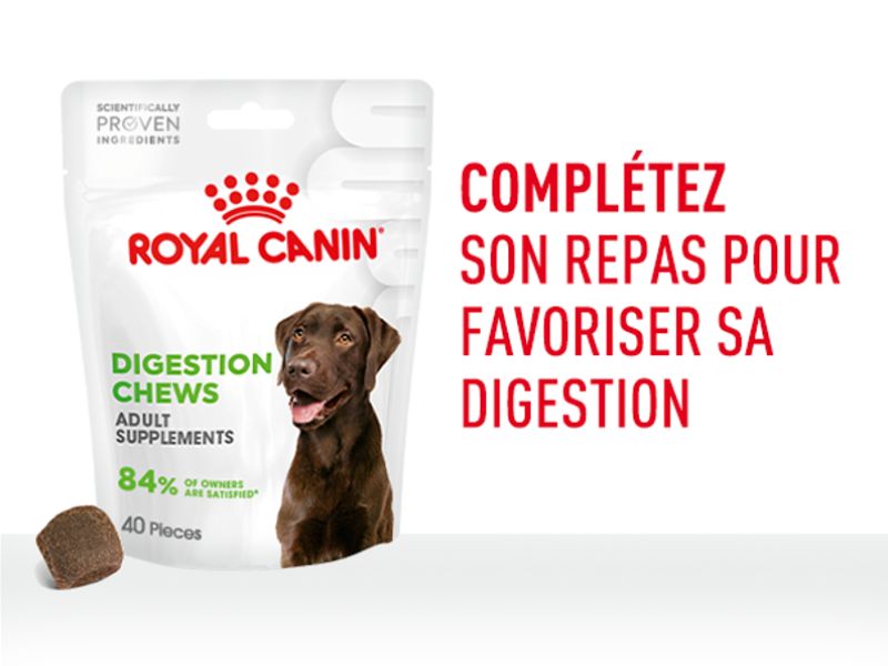 L'emballage de Royal Canin Digestion Chews avec sur le côté le titre Complétez son repas pour favoriser sa digestion
