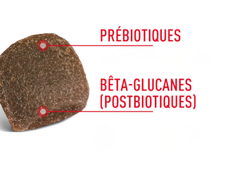 Ces suppléments contiennent des prébiotiques et des bêta-glucanes (postbiotiques)