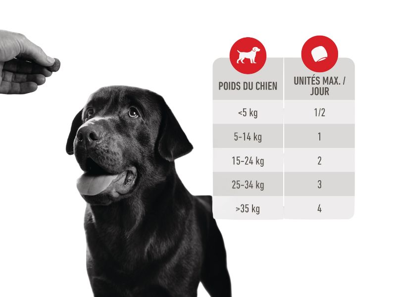 Quantitées Journalières