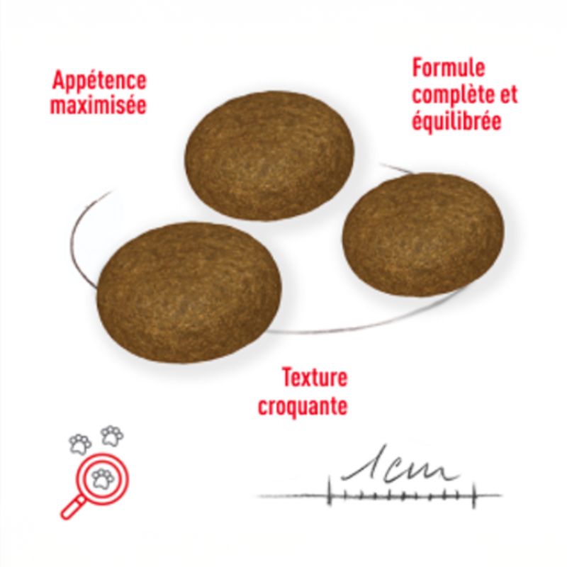 Les croquettes : appétence maximisée, formule complère et équilibrée, texture croquante