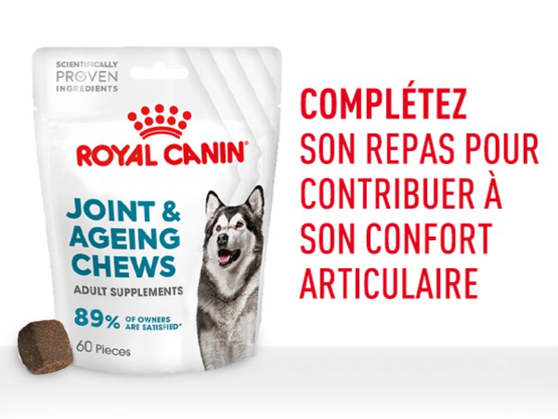 L'emballage de Royal Canin Joint & Ageing Chews avec sur le côté le titre Complétez son repas pour contribuer à son confort articulaire