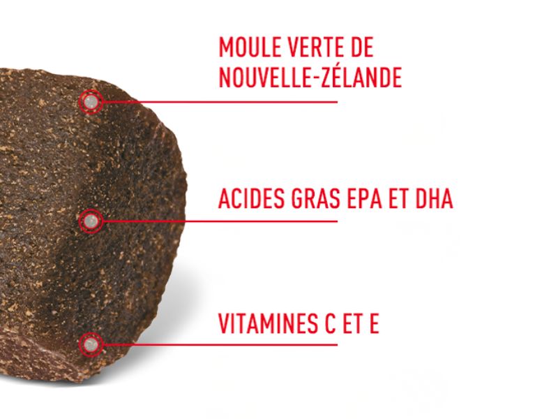 Ces suppléments contiennent du moule verte de Nouvelle-Zélande, des acides gras EPA et DHA et des vitamines C et E