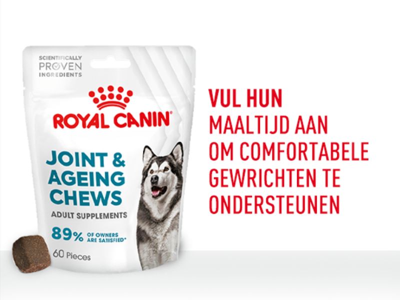 De verpakking van Royal Canin Joint and Ageing Chews met daarnaast de titel Vul hun maaltijd aan om combortabele gewrichten te ondersteunen.