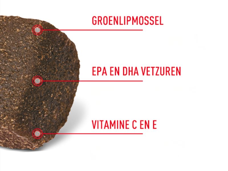 Deze supplementen bevatten groenlipmossel, EPA en DHA vetzuren en vitamine C en E