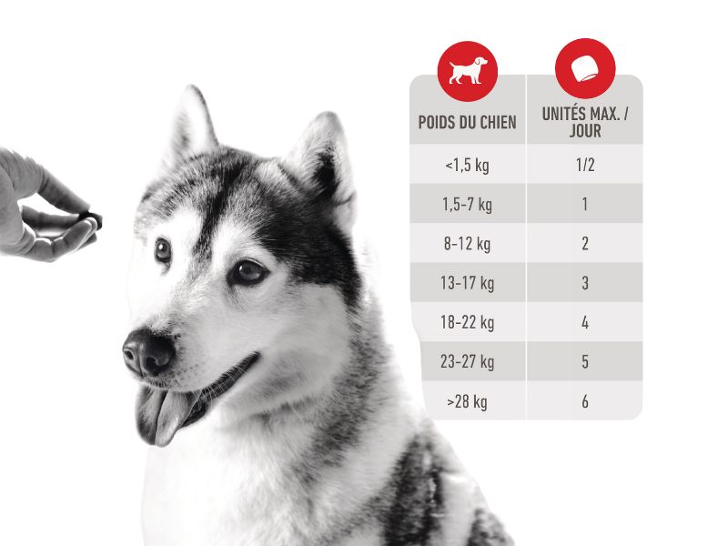 Quantitées Journalières