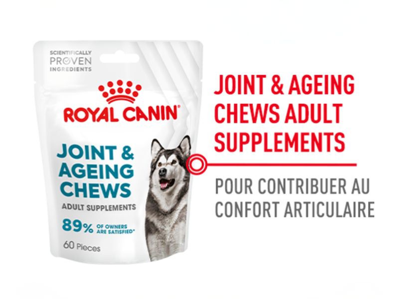 Joint & Ageing Chews pour contribuer au confort articulaire