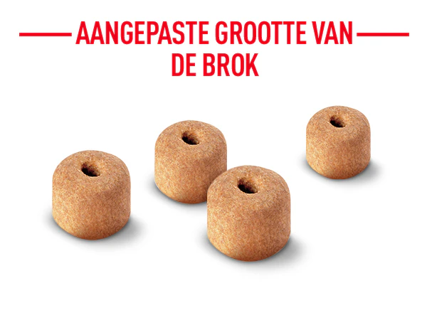 Brokjes: optimale smaaksensatie, complete en evenwichtige formule, krokante textuur.