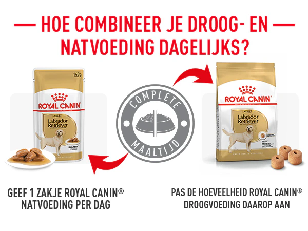 De brokjes Fussy Exigent kunnen gecombineerd worden met het Royal Canin Savoury of Exigent natvoer.