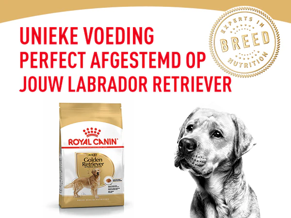 Royal Canin Fussy Exigent voor volwassen kieskeurige katten