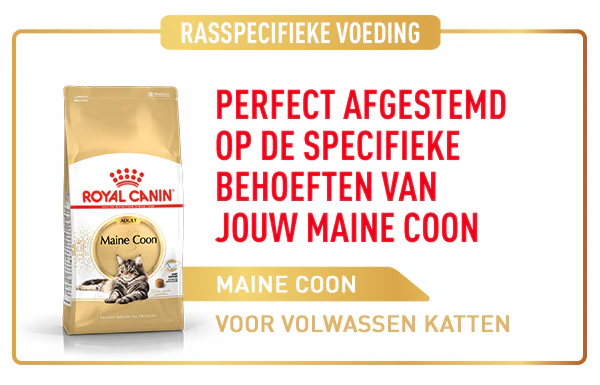 Royal Canin Fussy Exigent voor volwassen kieskeurige katten