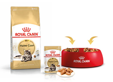 De brokjes Fussy Exigent kunnen gecombineerd worden met het Royal Canin Savoury of Exigent natvoer.
