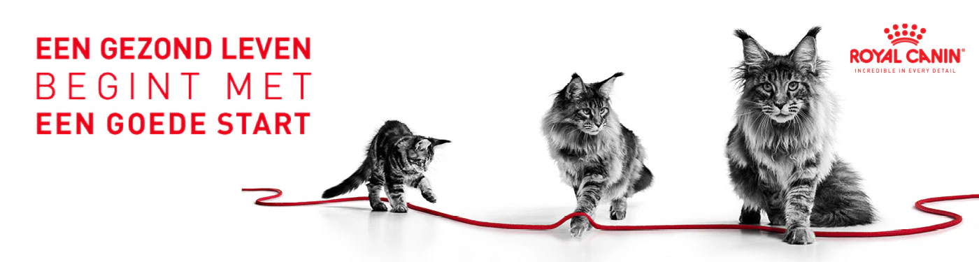 Een gezond leven begint met een goede start. De banner toont de groeifases van een kat van kitten, jongvolwassen, tot volwassen kat.