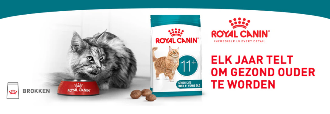 Elk jaar telt om gezond ouder te worden