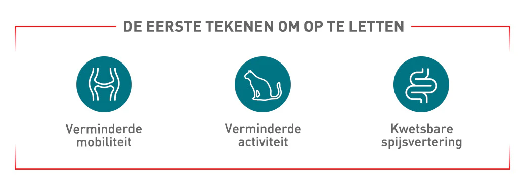 De eerste tekenen om op te letten: verminderde mobiliteit, verminderde activiteit, kwetsbare spijsvertering