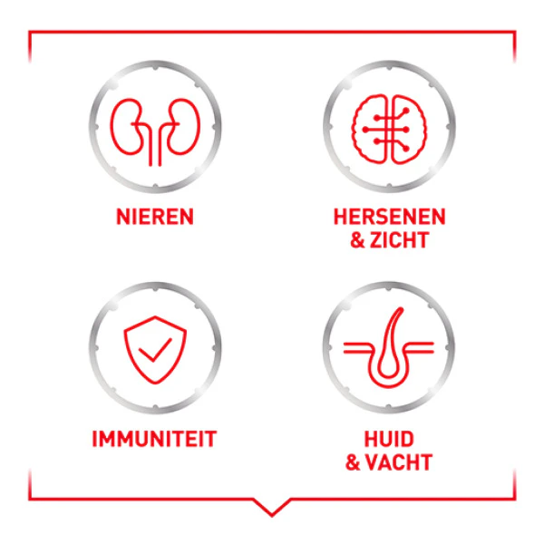 Nieren, Hersenen & zicht, Immuniteit, Huid & vacht