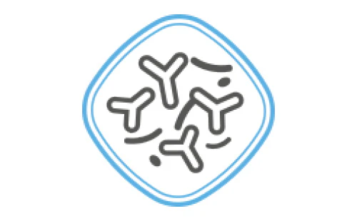 Icoon dat de darmflora illustreert. Enkele Y-vormige en langwerpige structuren worden afgebeeld.