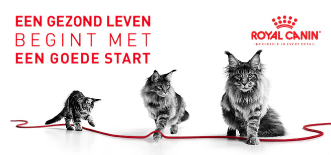 Een gezond leven begint met een goede start. De banner toont de groeifases van een kat van kitten, jongvolwassen, tot volwassen kat.