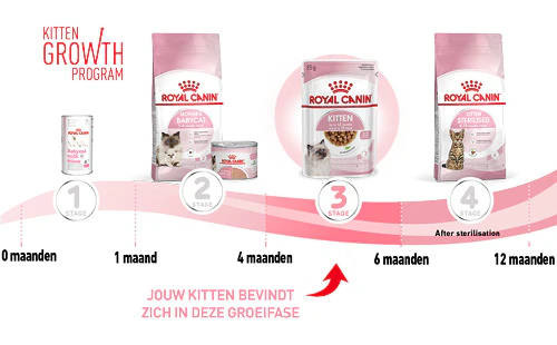 Kitten growth program. Volledig aanbod: melk vanaf 0 maanden, Mother & Babycat vanaf 1 maand, Kitten vanaf 4 maand, Kitten Sterilised vanaf 6 maand na sterilisatie.