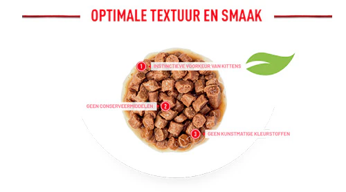 Optimale textuur en smaak: instinctieve voorkeur van kittens