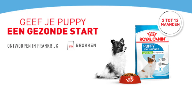Geef je puppy een gezonde start. Royal Canin X-Small Puppyvoer 2 tot 12 maanden. Ontworpen in Frankrijk.