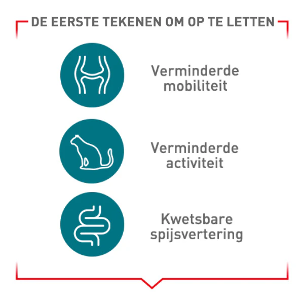 De eerste tekenen om op te letten: verminderde mobiliteit, verminderde activiteit, kwetsbare spijsvertering