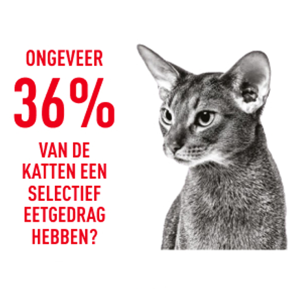 Wist je dat ongeveer 36% van de katten een selectief eetgedrag hebben?