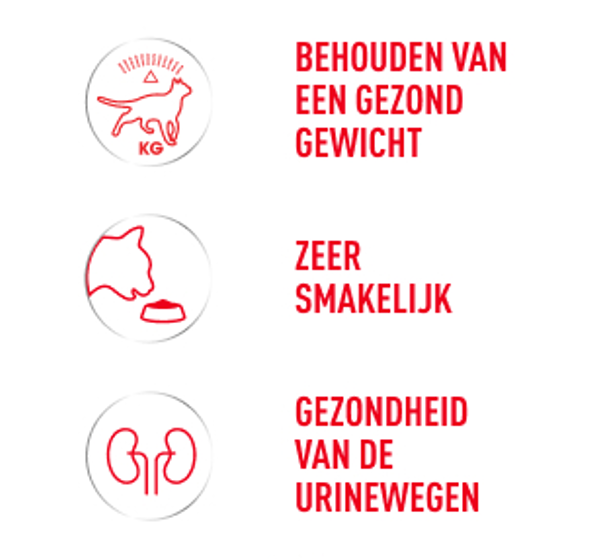 Voordelen: behouden van een gezond gewicht, zeer smakelijk, gezondheid van de urinewegen.