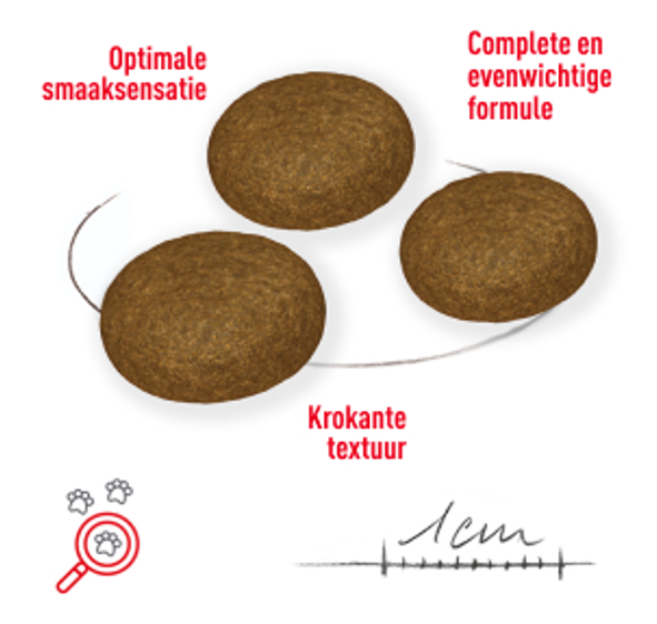 Brokjes: optimale smaaksensatie, complete en evenwichtige formule, krokante textuur.