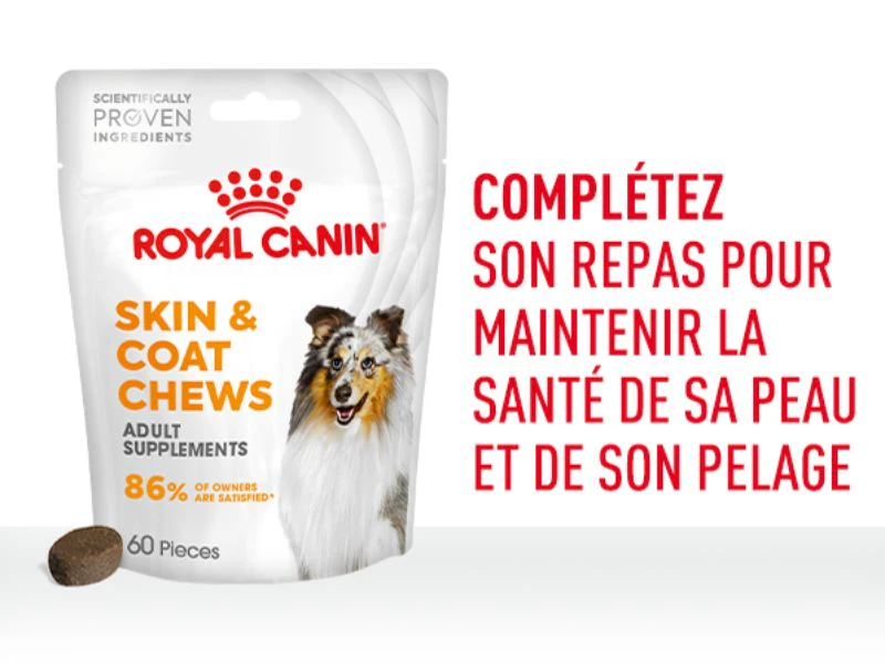 L'emballage de Royal Canin Skin & Coat Chews avec sur le côté le titre Complétez son repas pour maintenir la santé de sa peau et de son pelage
