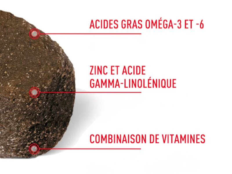 Ces suppléments contiennent des acides gras eméga-3 et -6, zinc et acide gamma-linolénique, combinaison de vitamines