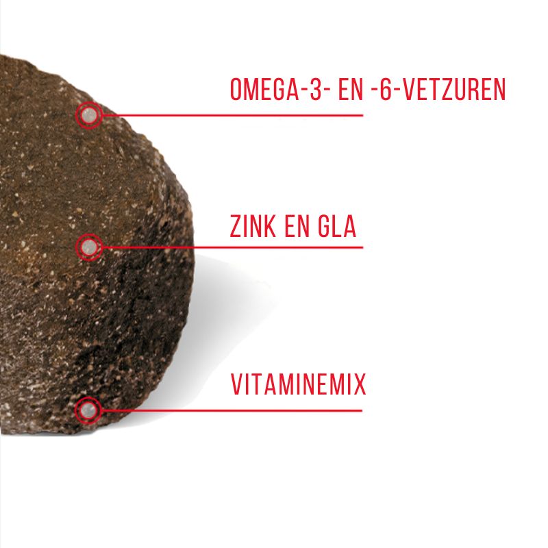 Deze supplementen bevatten omega-3- en -6-vetzuren, zink en gla en een vitaminemix
