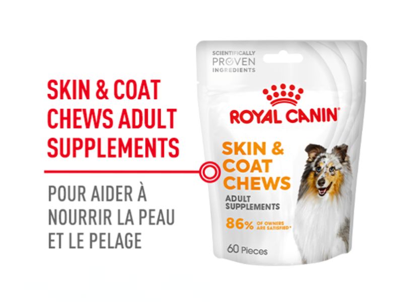Skin & Coat Chews pour aider à nourrir la peau et le pelage