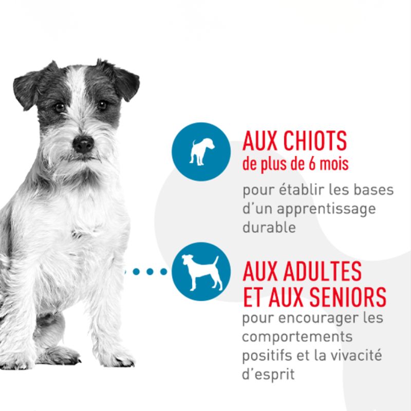Conviennent &agrave; chaque &eacute;tape de la vie. Aux chiots de plus de 6 mois pour &eacute;tablir les bases d'un apprentissage durable. Aux adultes et aux seniors pour encourager les comportements positifs et la vivacit&eacute; d'esprit