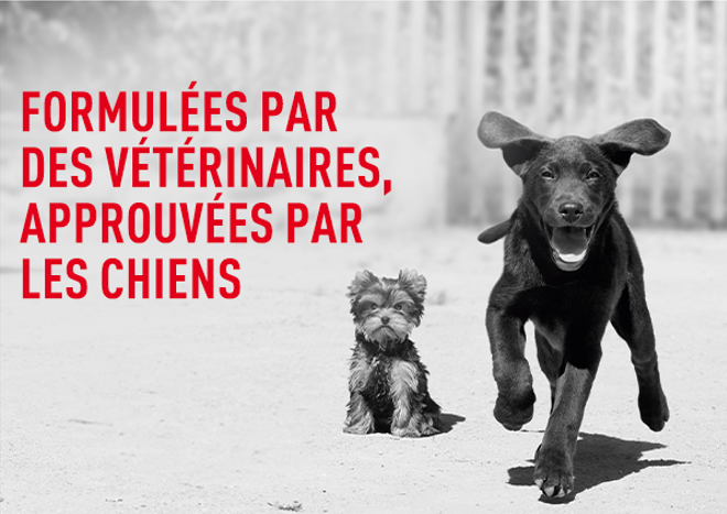 Formul&eacute;es par des v&eacute;t&eacute;rinaires, approuv&eacute;es par les chiens