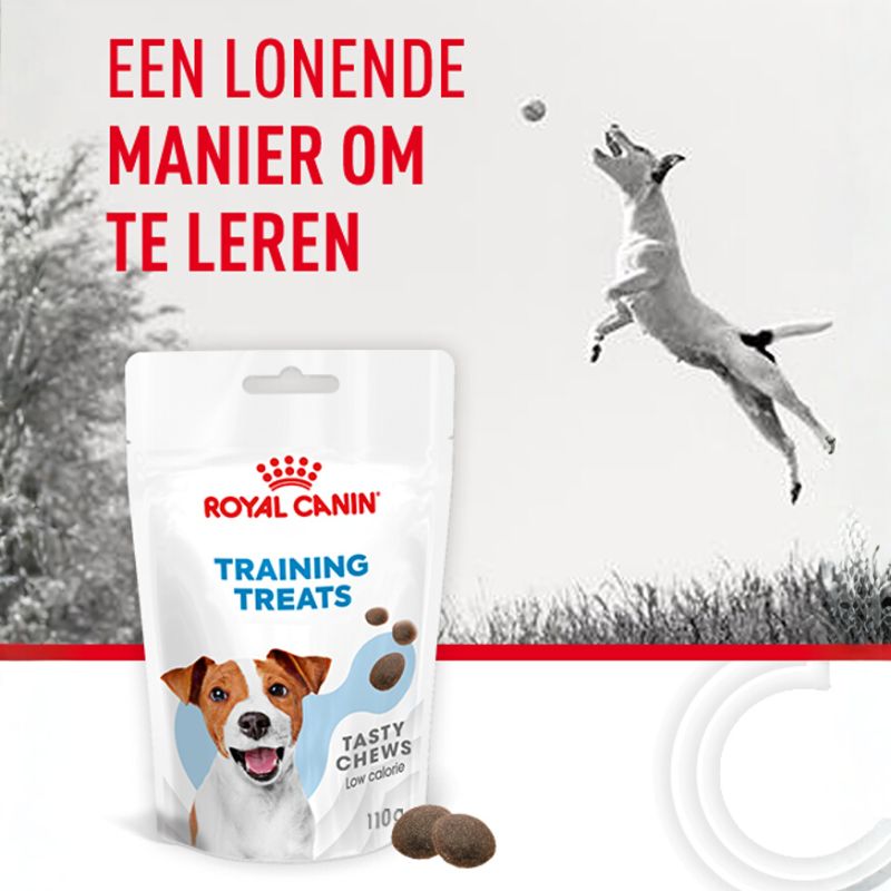 Royal Canin Fussy Exigent voor volwassen kieskeurige katten