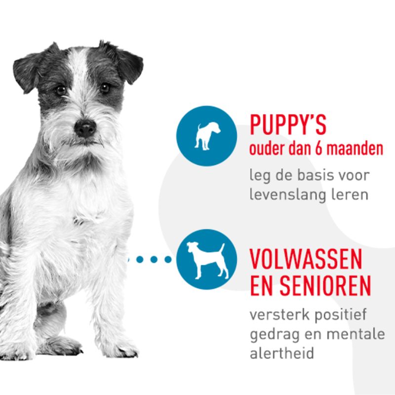 Van 3 formules naar één gespecialiseerde formule.