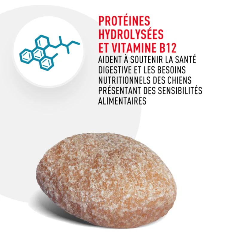 Prot&eacute;ines hydrolys&eacute;es et vitamine B12 aident &agrave; soutenir la sant&eacute; digestive et les besoins nutritionnels des chiens pr&eacute;sentant des sensibilit&eacute;s alimentaires
