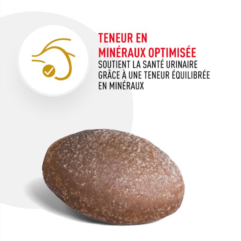 Teneur en minéreaux optimisée soutient la santé urinaire grâce à une teneur équilibrée en minéreaux
