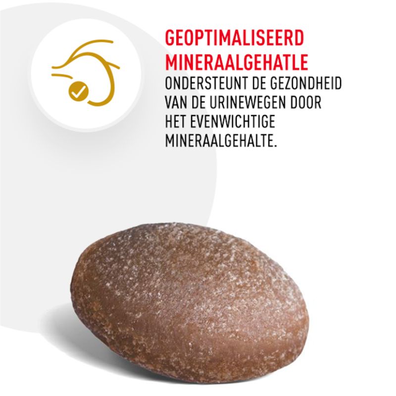 Geoptimaliseerd mineraalgehalte ondersteunt de gezondheid van de urinewegen.