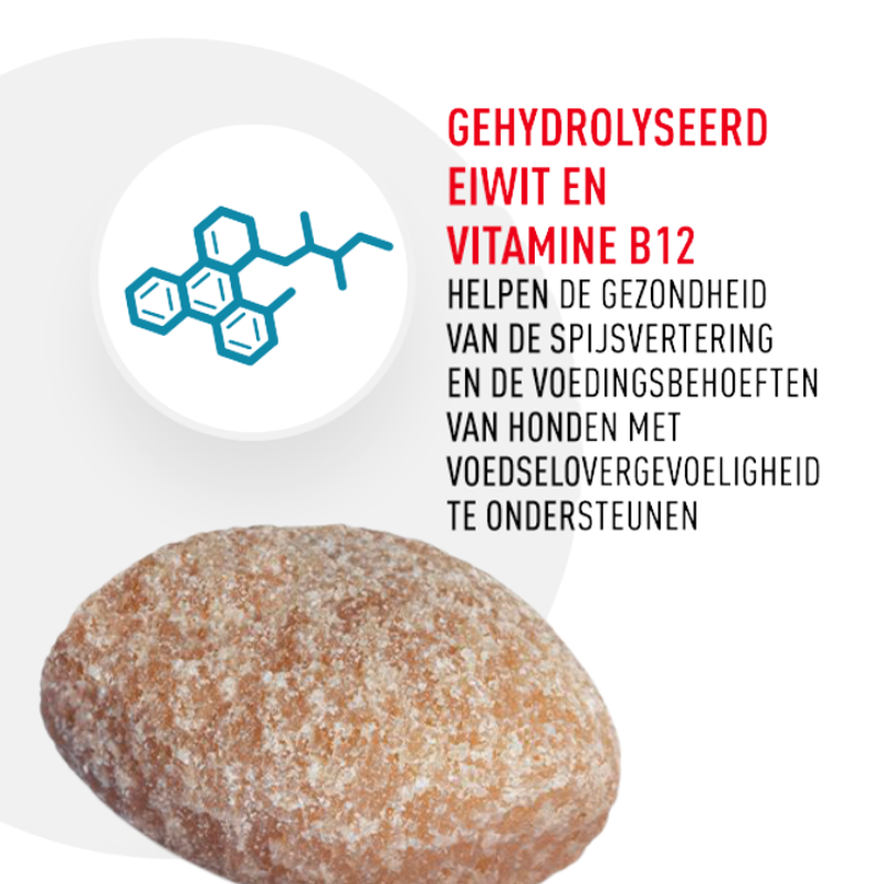 Gehydrolyseerd eiwit en vitamine B12 helpen de gezondheid van de spijsvertering en de voedingsbehoeften van honden met voedselovergevoeligheid te ondersteunen.