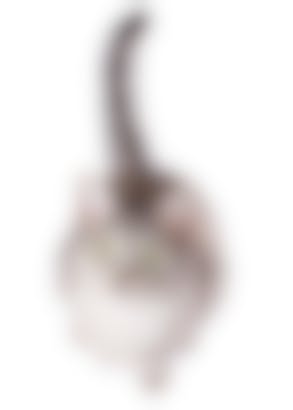 Chat Fugueur Comment Comprendre Le Comportement Du Chat Fugueur Vetostore Chat Fugueur Comment Comprendre Le Comportement Du Chat Fugueur Vetostore
