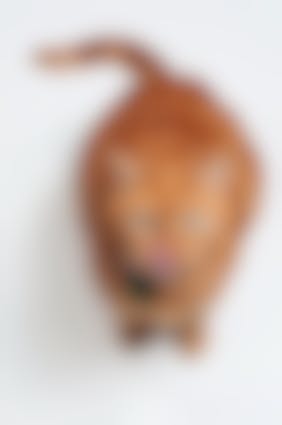 Chat Obese Comment Traiter L Obesite De Mon Chat Vetostore Chat Obese Comment Traiter L Obesite De Mon Chat Vetostore
